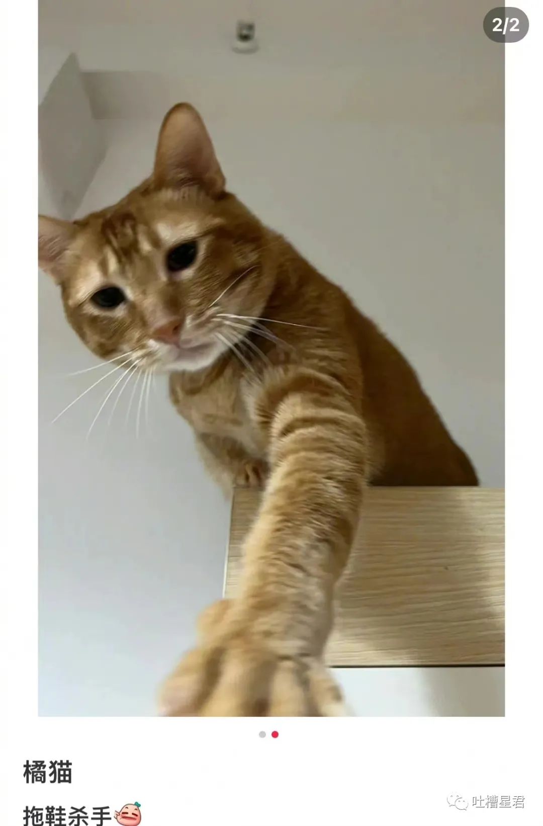 花了7400元买的gucci,花4000买gucci发夹