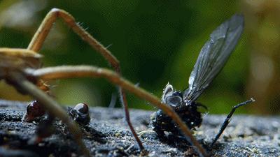 原来它们也有“性丑闻”,这片看完让我大开眼界