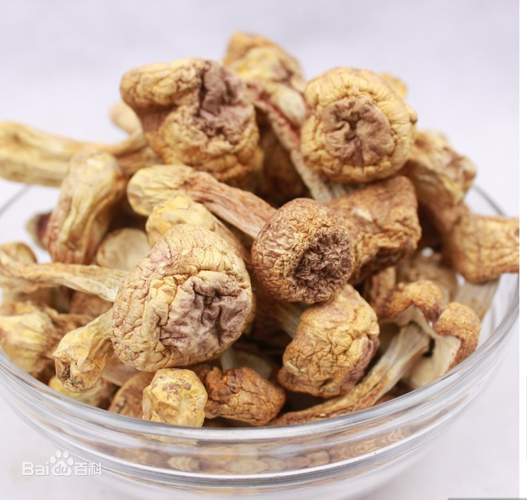 世界十大最昂贵食材,世界上最稀有燕窝