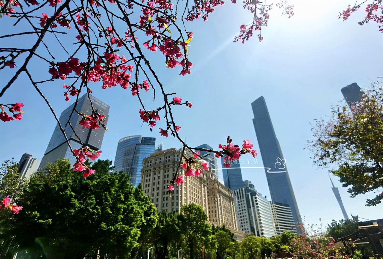 城市会客厅广州,广州城市会客厅