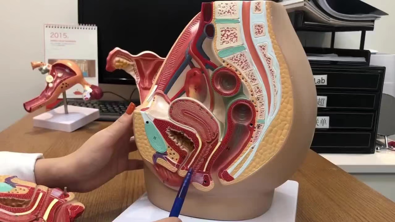 女子婚前检查有2个月身孕,婚前发现子宫有问题