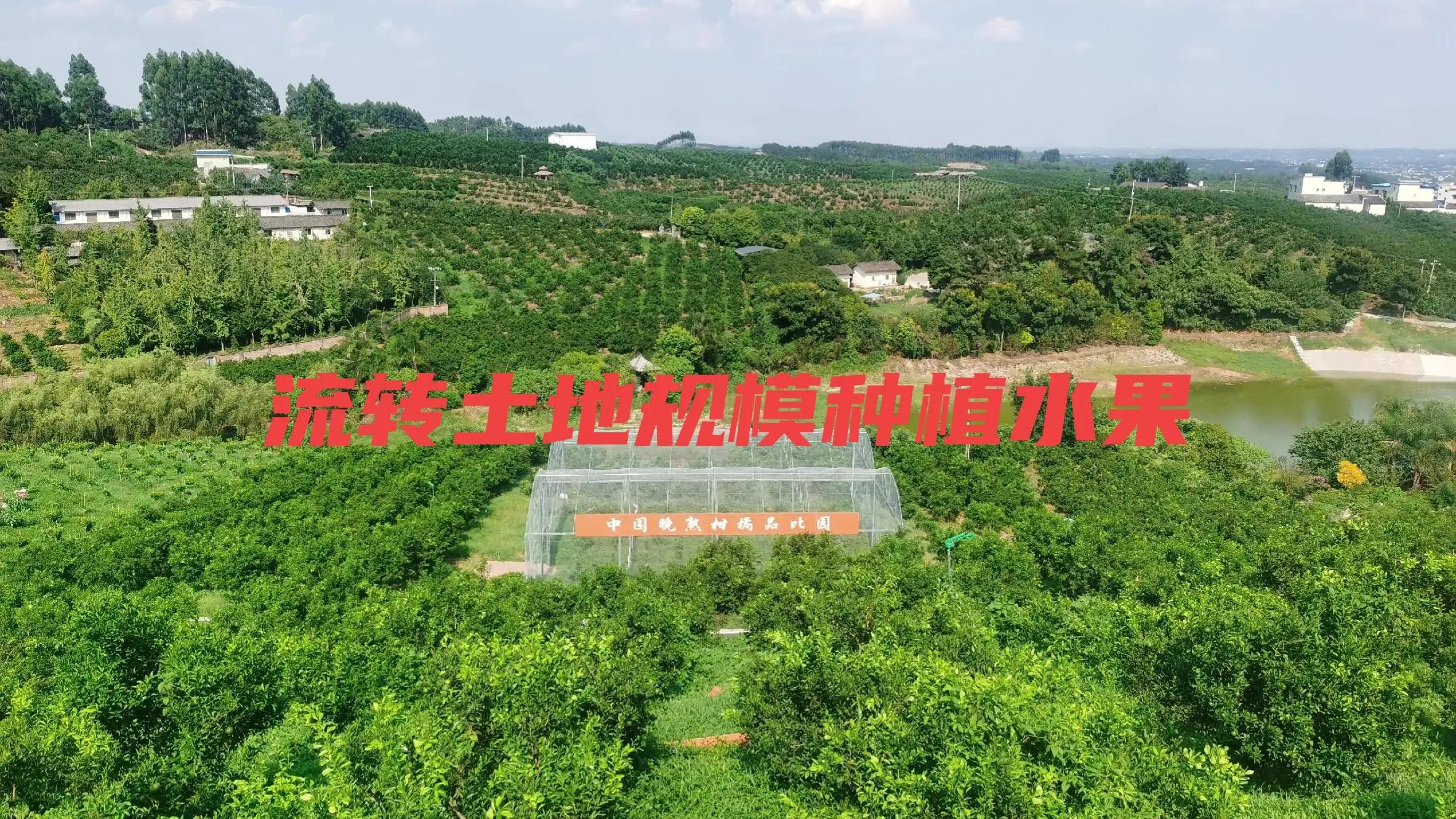 农村土地流转业主还是村组,土地流转个别村民不同意怎么办