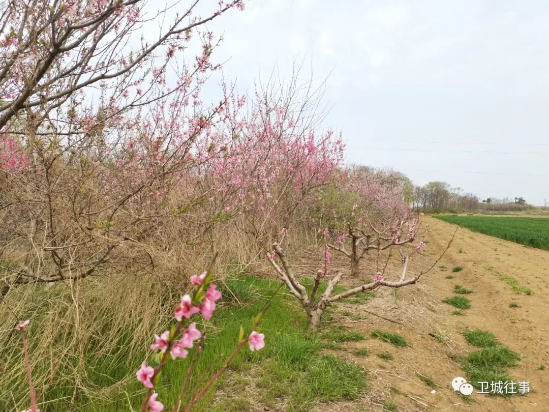 找不到温泉怎么找,附近暖水潭温泉在哪里
