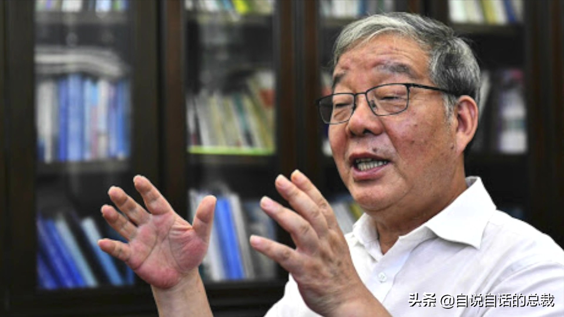 国内的假三文鱼是什么鱼,哪种才是真正的三文鱼