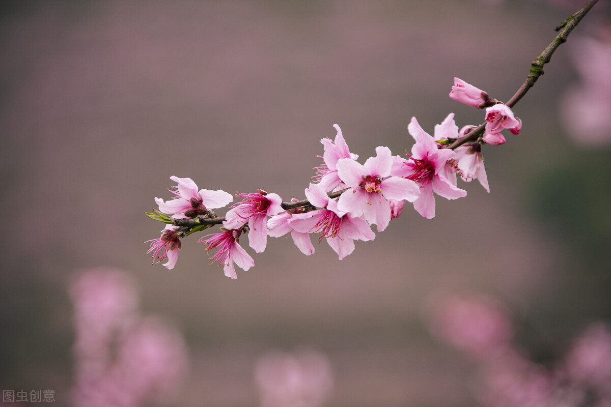 大多数老人退休后的现状,退休后老人的生活状态有哪些