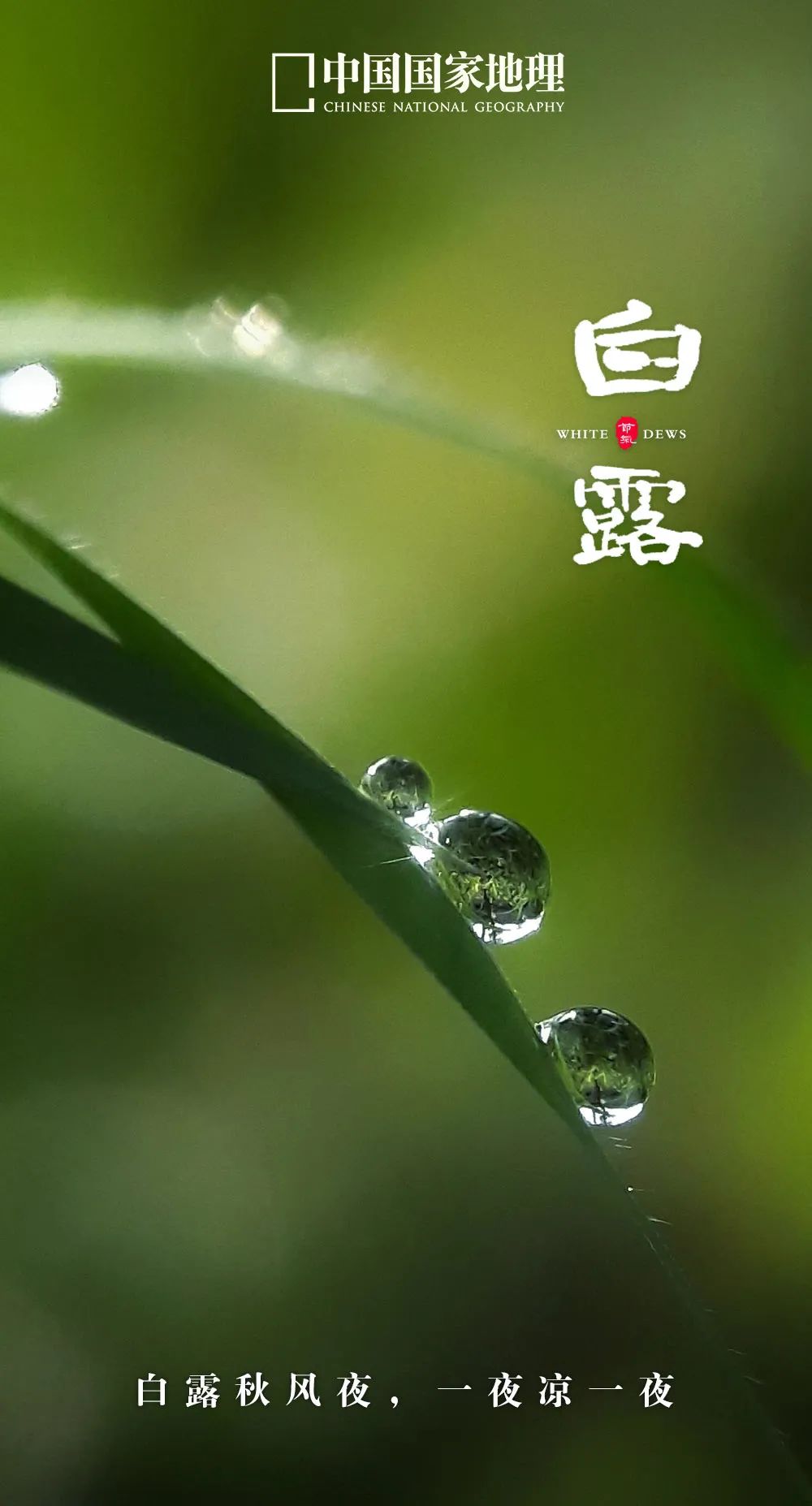 一年中最有智慧的节气图片,365天最美24节气图诞生惊艳国人