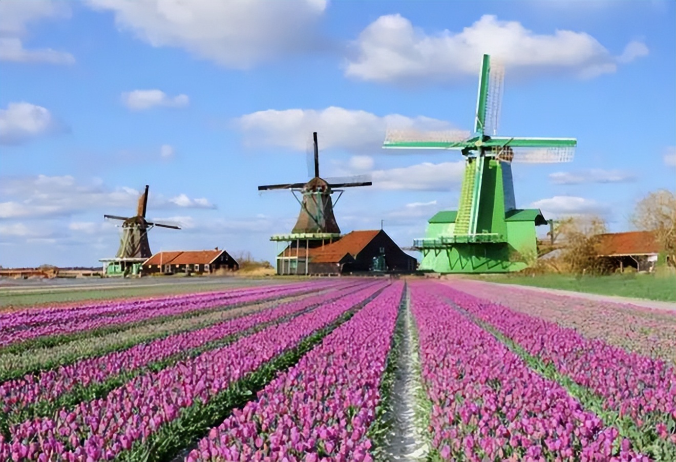 探访欧洲农村：荷兰农村房子，比我国农村房子小，但环境比我们好