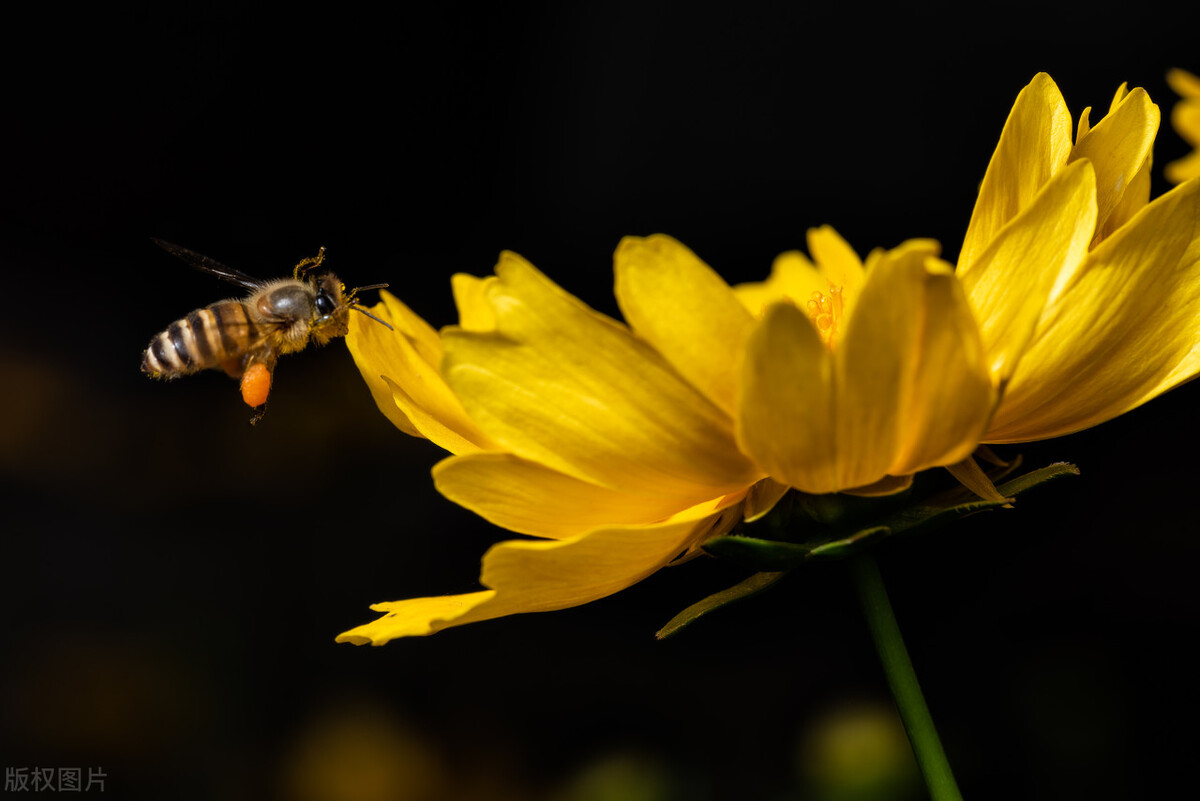 当别人不喜欢你就不要再追了原版,当别人不喜欢你就不要再追了