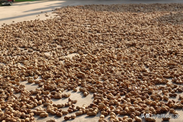 农民卖自家农产品违法吗,农民卖土特产违法吗