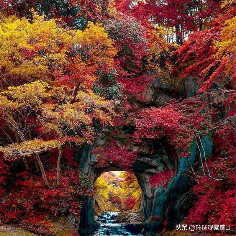 20世纪恐怖诡异图片,7张19世纪的诡异照片