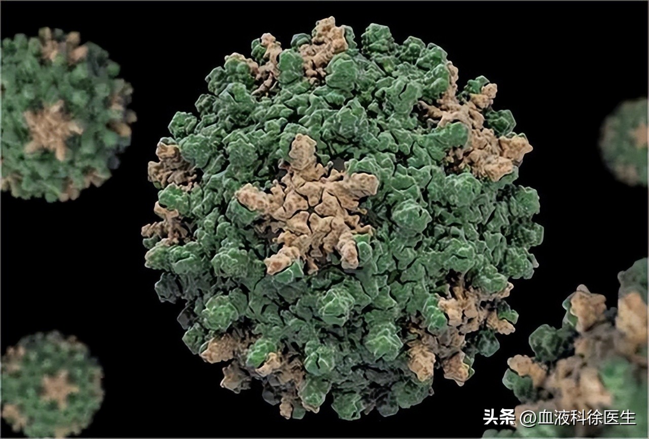 治乙肝恩替卡韦好还是替诺福韦好,恩替卡韦治乙肝原理