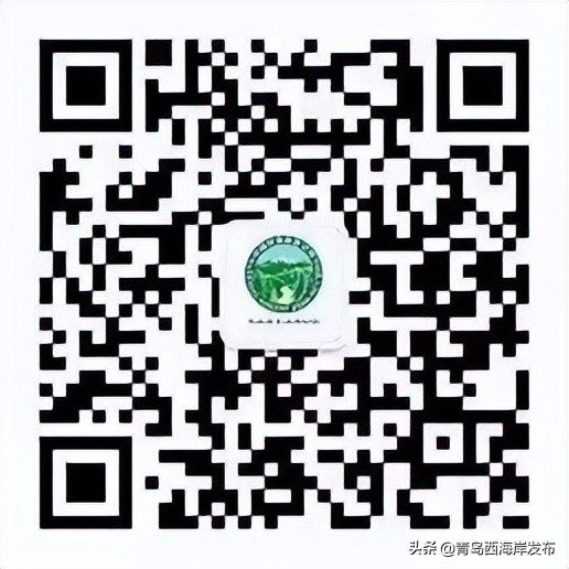 青岛森林野生动物世界等新区四家4*级A**景区免门票！（附假期游玩全攻略）