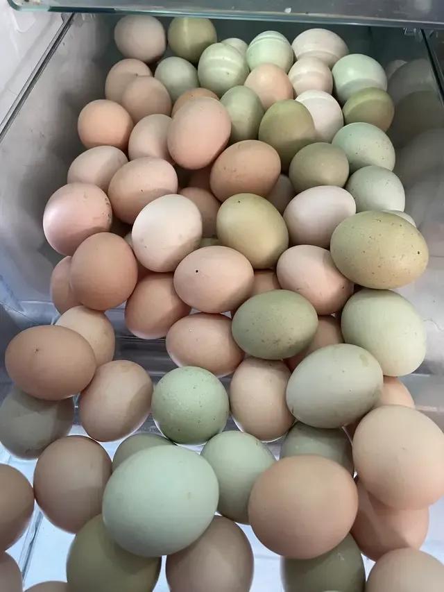 台湾游客来大陆吃鸡蛋,台湾人来内地吃惊