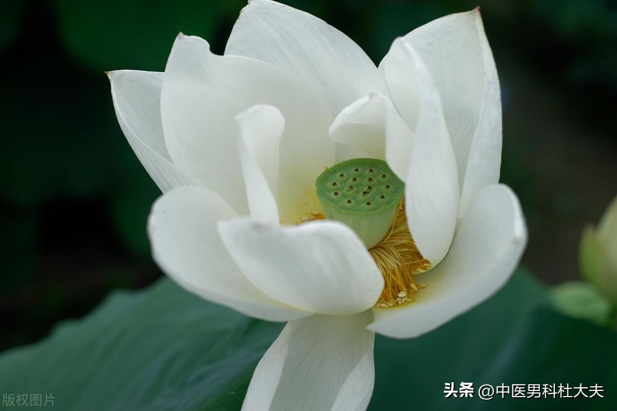 宗筋敏感度,宗筋松弛如何调理