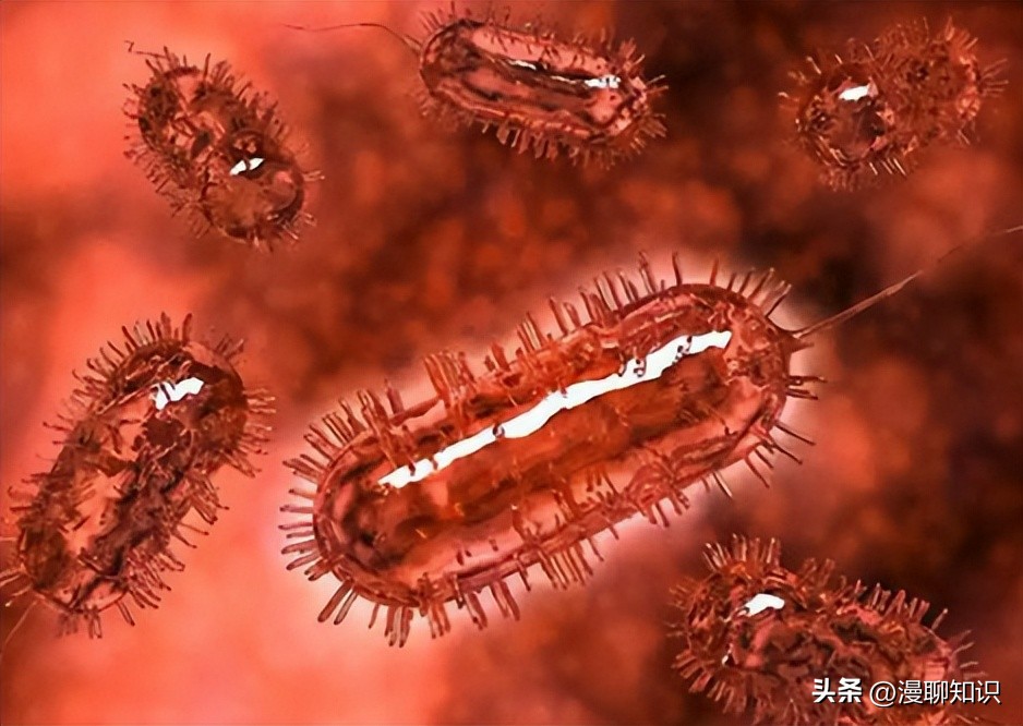 妇阴康洗剂效果怎么样,妇阴康洗剂是抗生素药吗