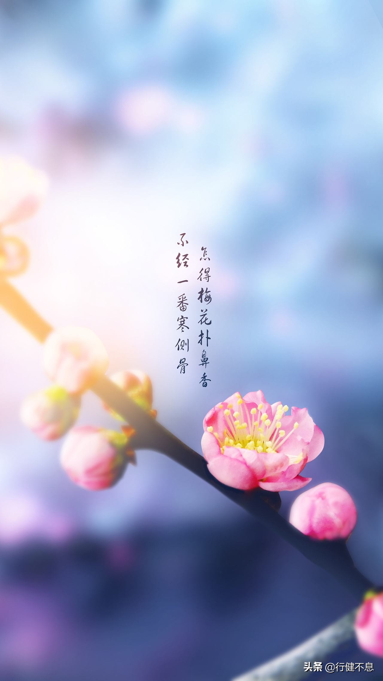 得饶人处且饶人：三位智者的诗教会我们正确地为人处世