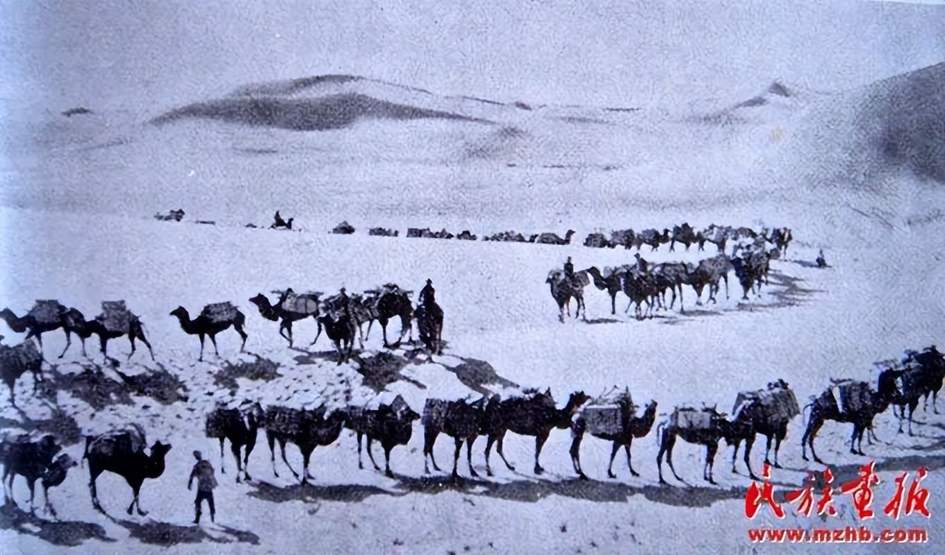 奶茶不同口味,奶茶别有一番滋味