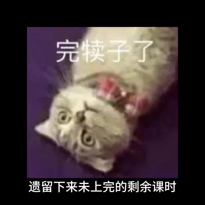 dou+上热门是什么操作,上热门