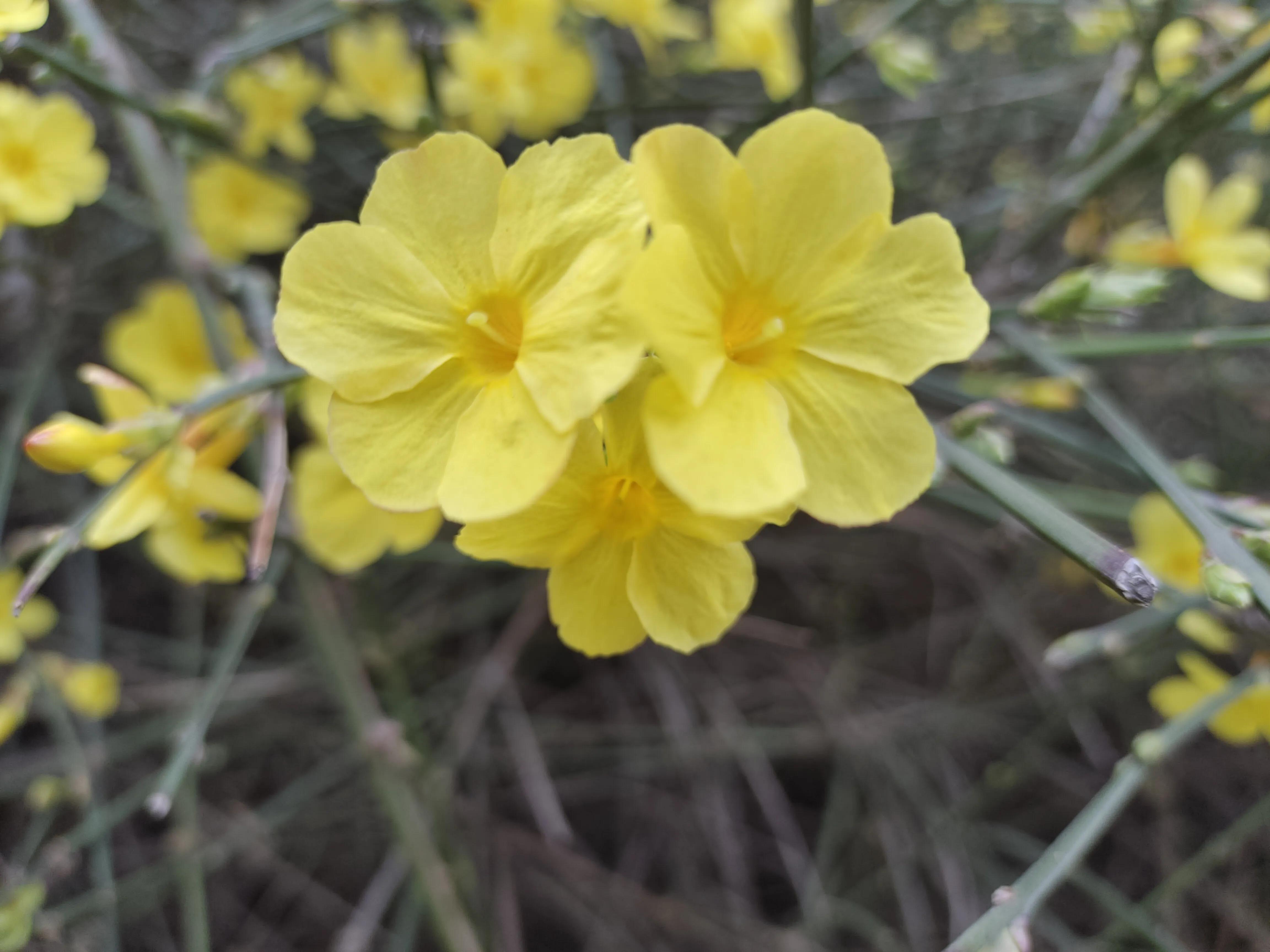 微信退群后以前的聊天记录还在吗,微信退群说明