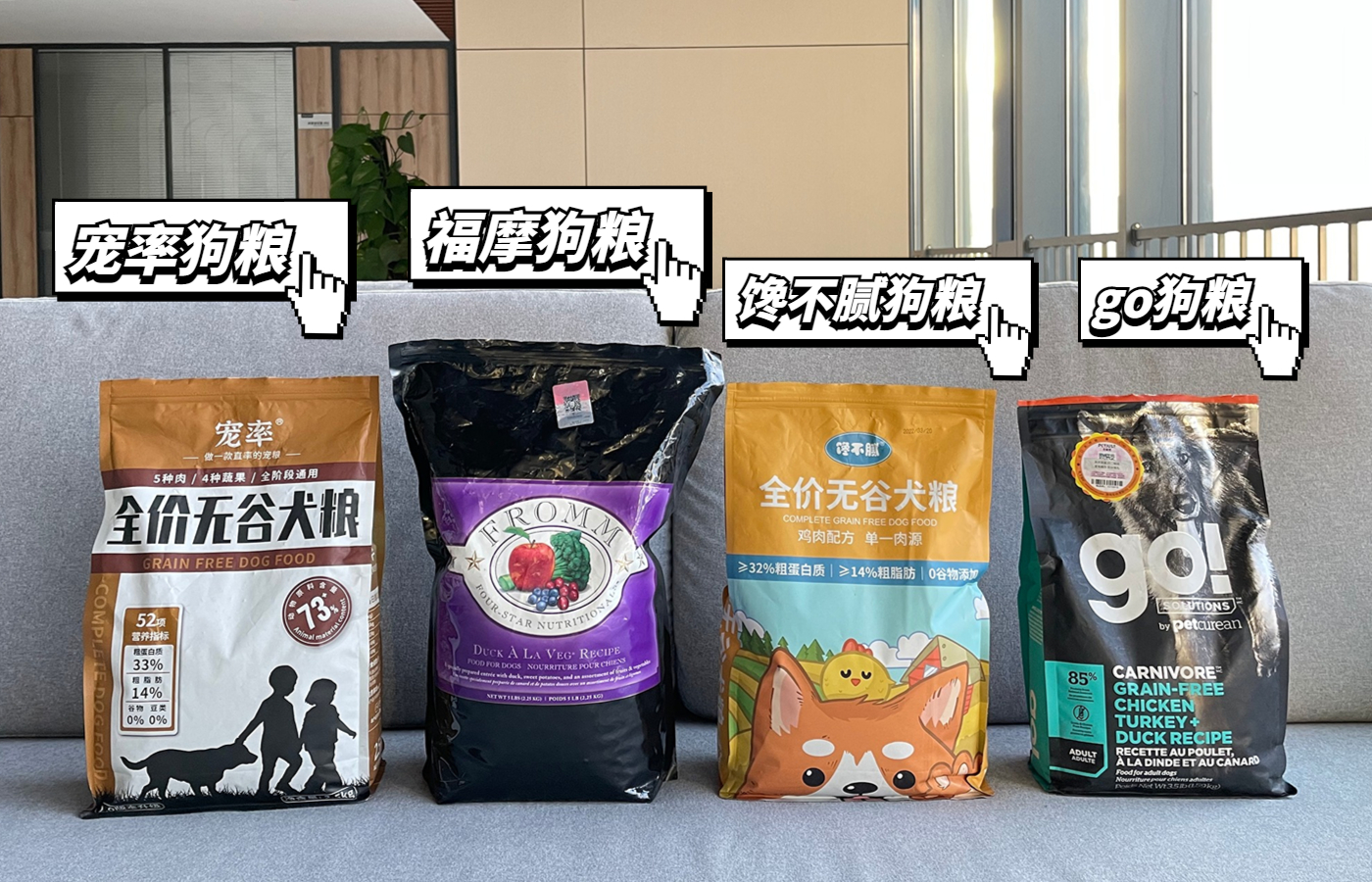 最适合懒人养的狗狗好养,哪种狗好养好打理又聪明