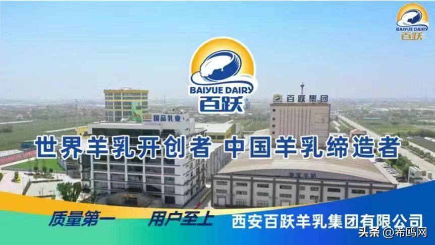 聚能量再起航，五康羊奶粉品牌获“2022年度市场影响力品牌”大奖