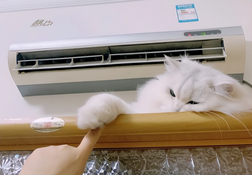 蚊子太烦人了晚上睡不着,总被蚊子吵醒还找不到蚊子是为啥