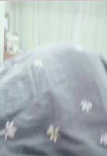 养猫有什么办法驱蚊子,养猫不可以用蚊香怎么驱蚊