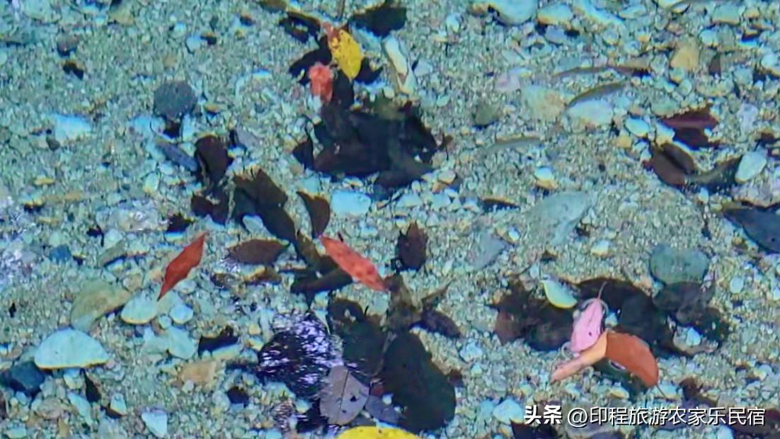 浙江高山避暑农家乐,浙江避暑最好包吃住的农家乐推荐