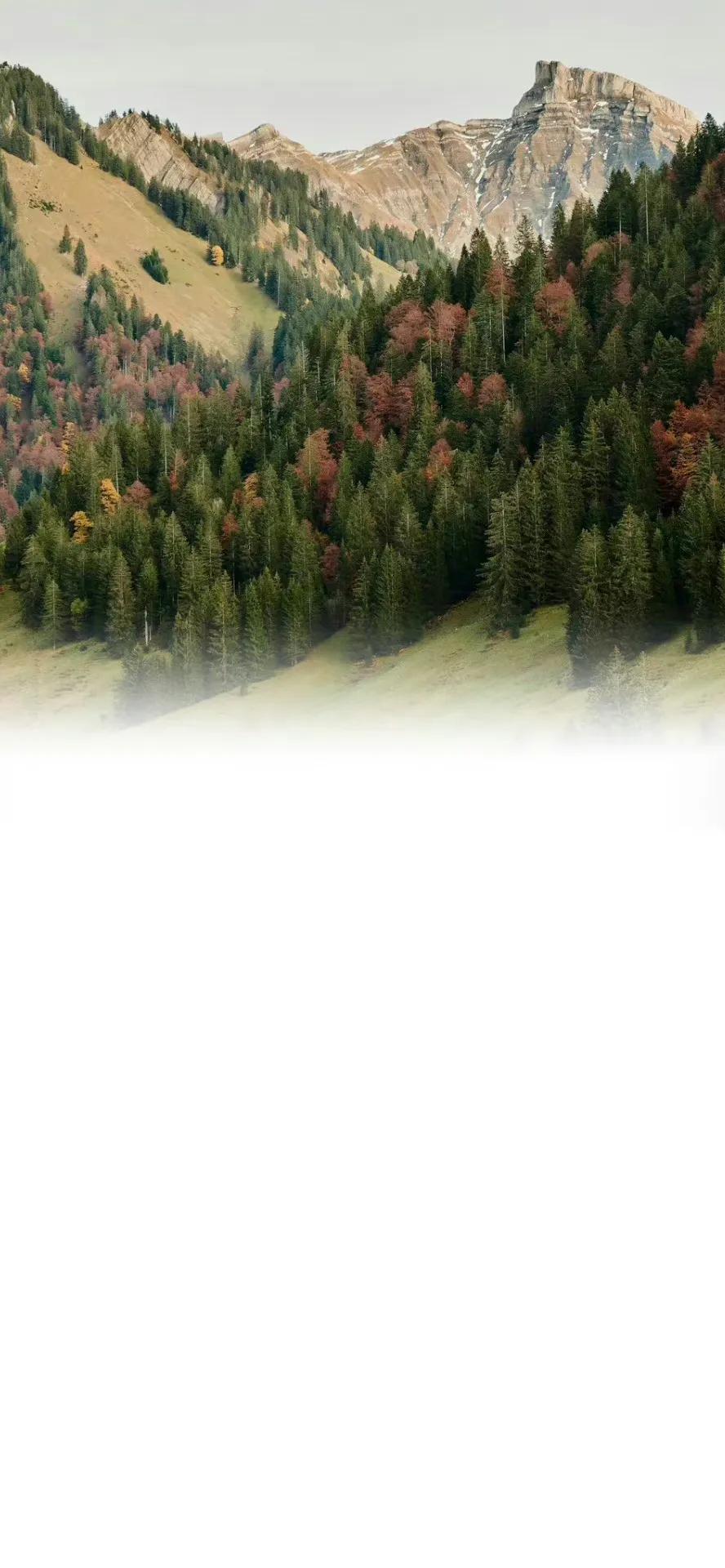 超好看的聊天背景图带文字,老公专用聊天背景图