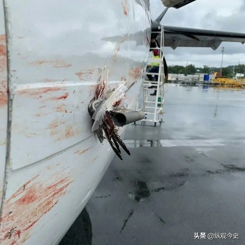 神十四升空瞬间,神十四升空画面