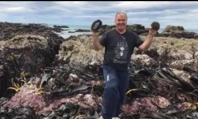 游客海边捡到一只鲍鱼被要500元,天价鲍鱼500一只