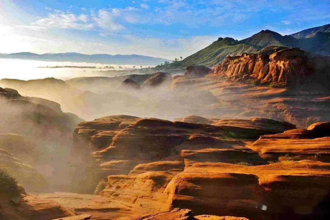 艺术家怎么表达自己的情绪,艺术家表达孤独