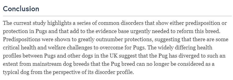 巴哥犬应该被开除犬籍？人类眼中的萌点，其实是它们的病痛