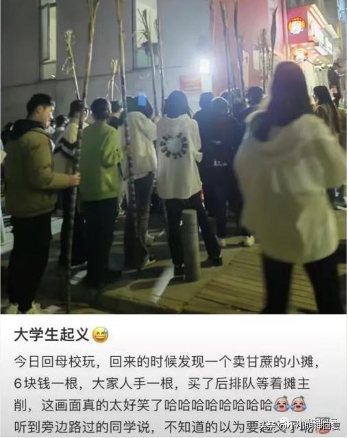 神回复有啥想问的,神回复魔性笑声怎么弄