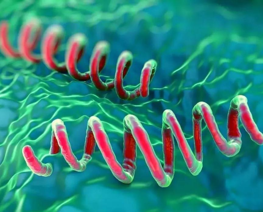 “安全套”上的油是什么？会对女性身体造成伤害吗？看完涨知识了