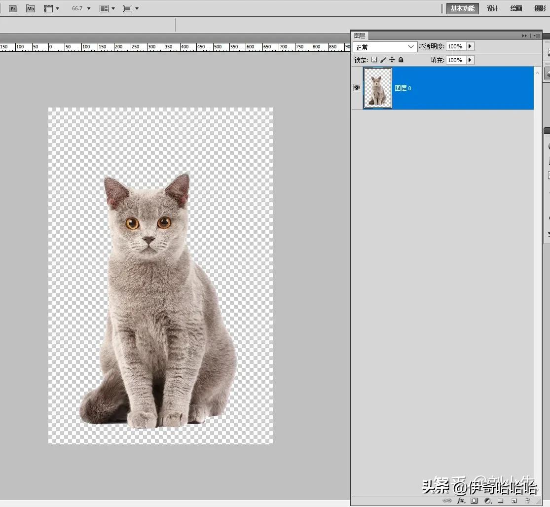 photoshop第一课魔棒工具,ps入门基础教学套索工具