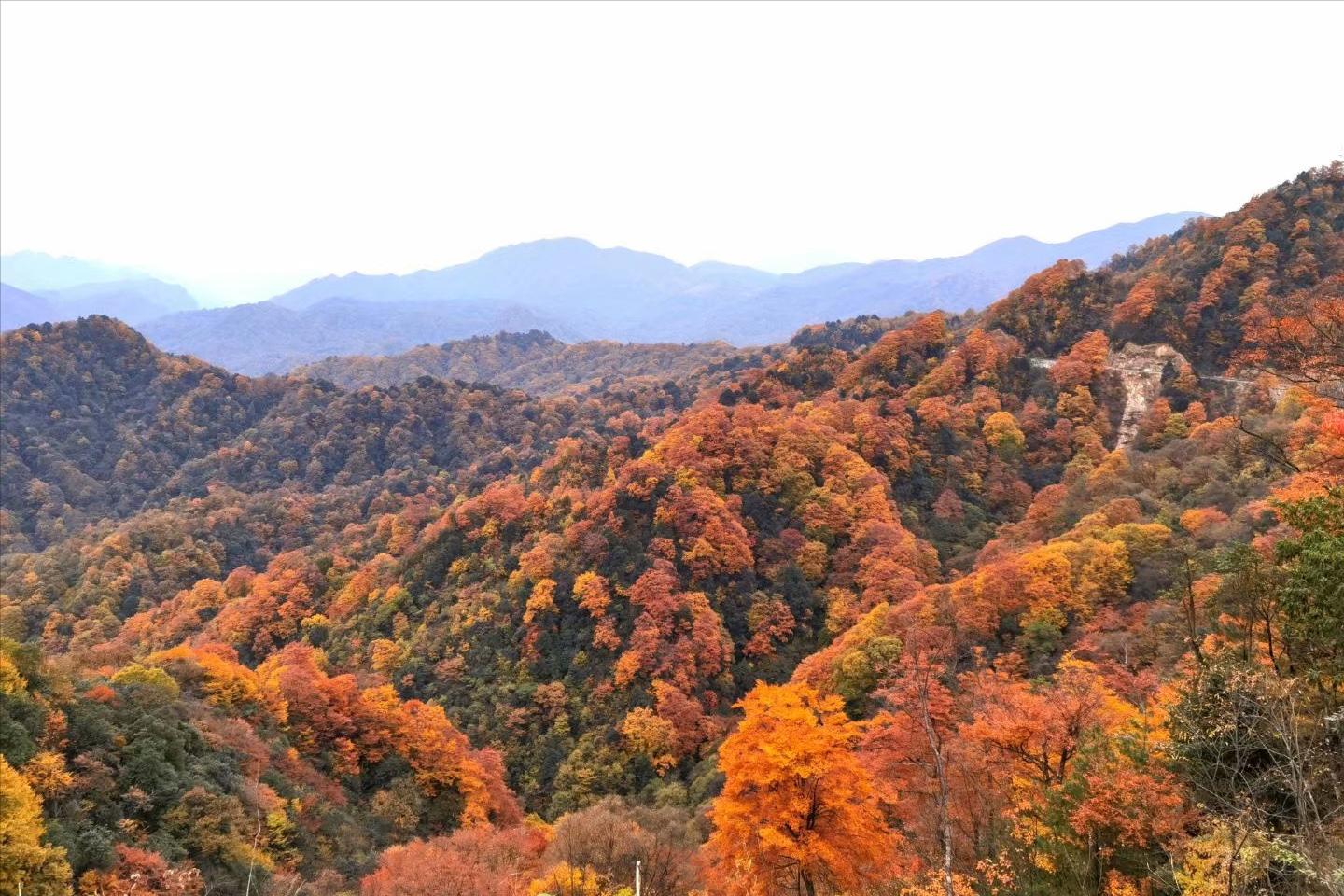 光雾山环境,光雾山有什么灵气