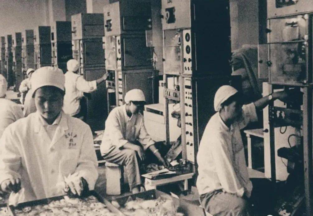 沈阳红梅味精厂原址在哪里,沈阳红梅味精厂前世今生