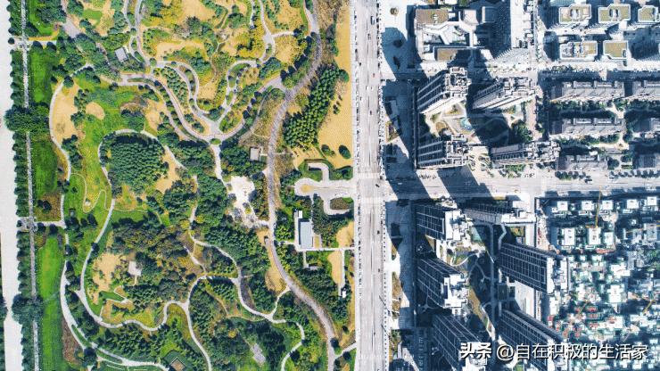 照母山中央公园,照母山和中央公园哪边发展好