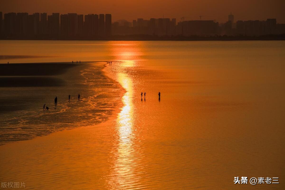 女作家去做保姆婚姻真相,女作家去做保姆这些年
