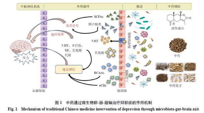 肠道菌群与抑郁症研究,肠道菌群研究成功案例
