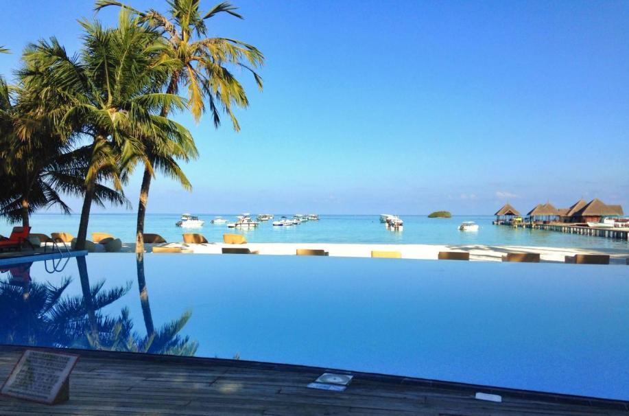 马尔代夫不是岛上有好玩地方吗,马尔代夫不就是虎鲨岛吗