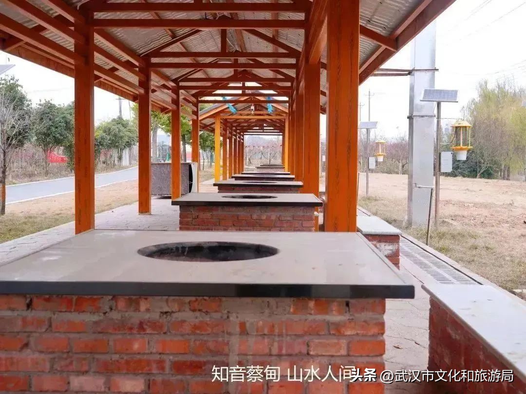 又红又大的草莓欢迎采摘,最近的草莓采摘在哪里