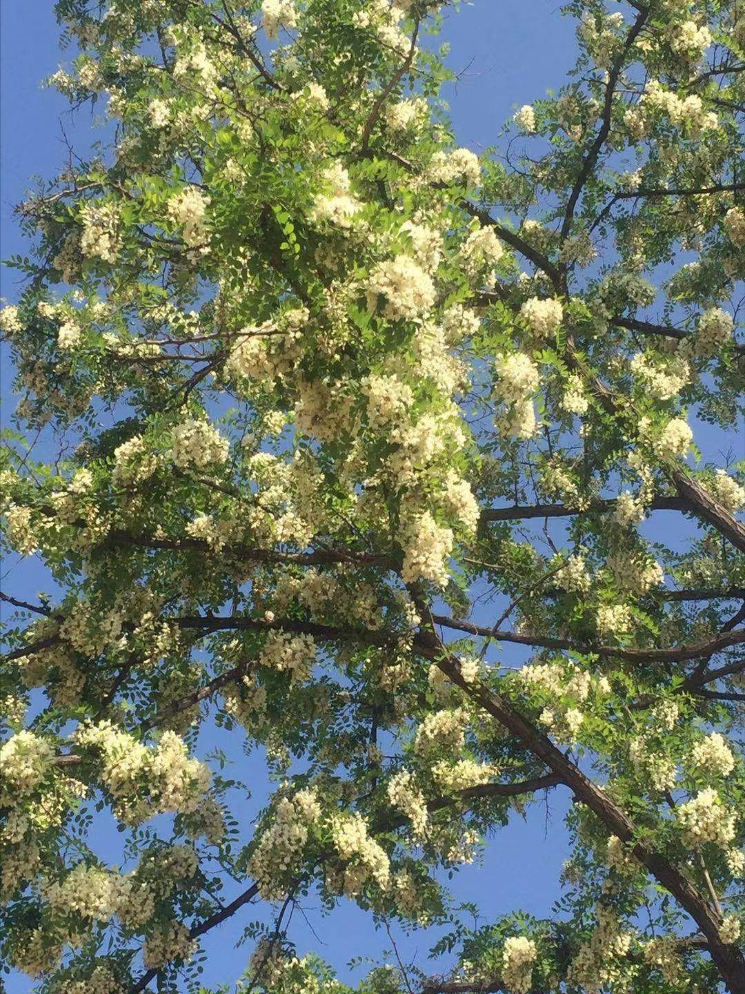 疫情放开后咽干轻微疼痛,疫情放开吃什么增加抵抗力