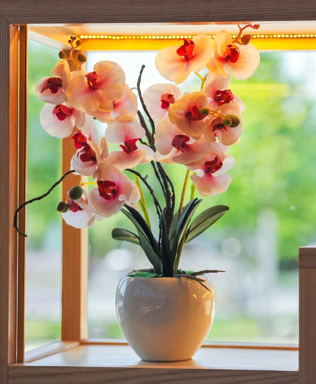 来都来了，不带点武清文创产品走么？