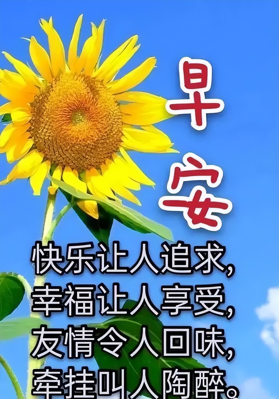 早上好图片早安心语,星期一早安心语早安图片