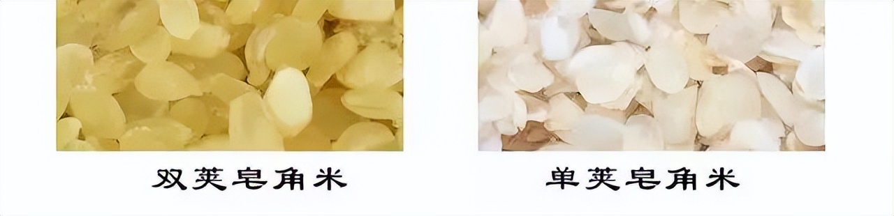 桃胶皂角米能养颜美容吗,吃桃胶雪燕皂角米可以淡斑美容吗