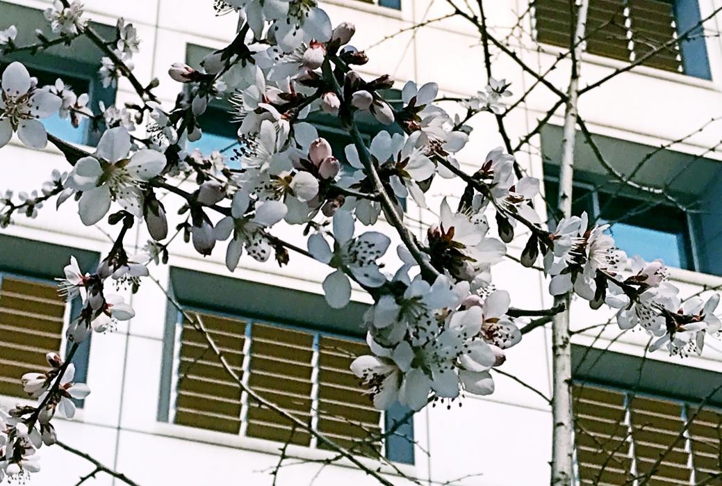 带你寻找诗和远方,带你寻找最美的诗和远方