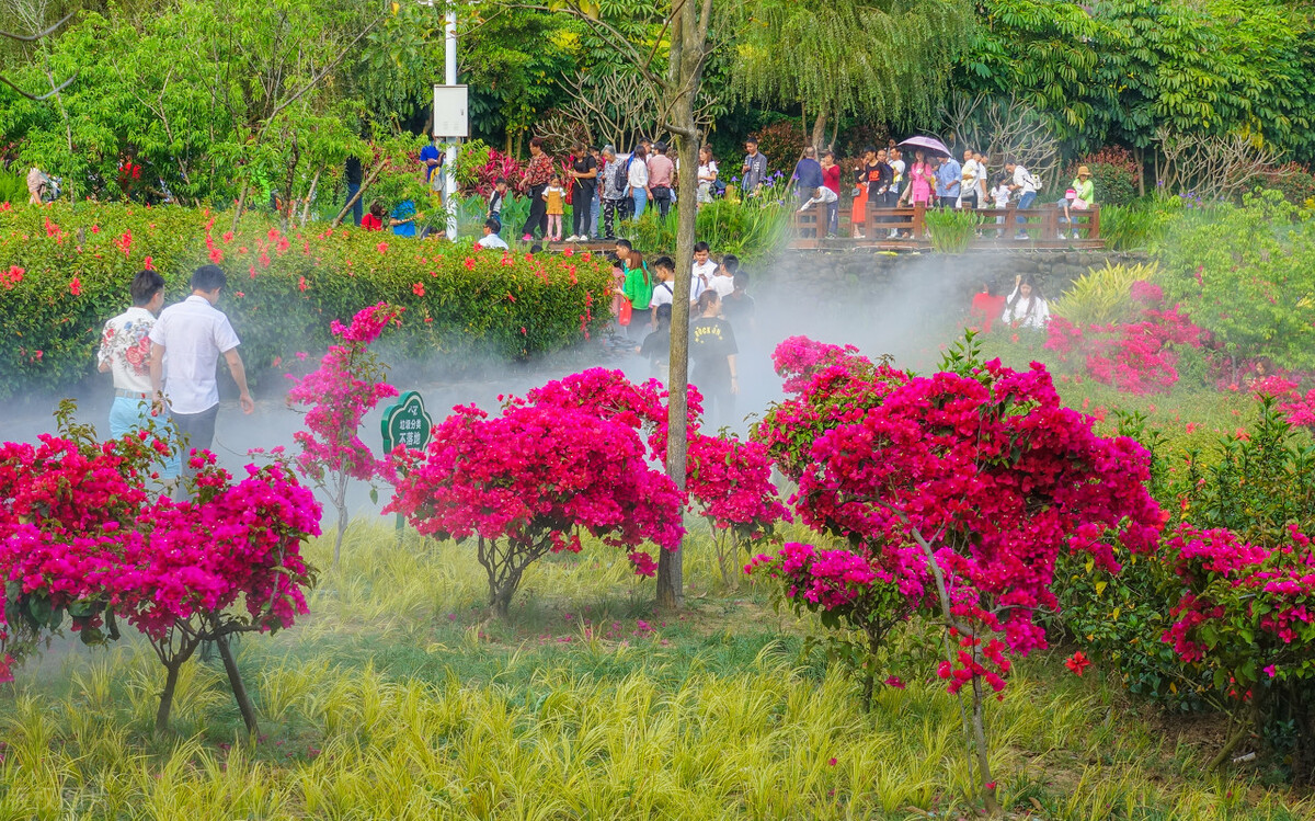 厦门旅游攻略必去的十个地方,厦门旅游攻略几个不错的地方必去