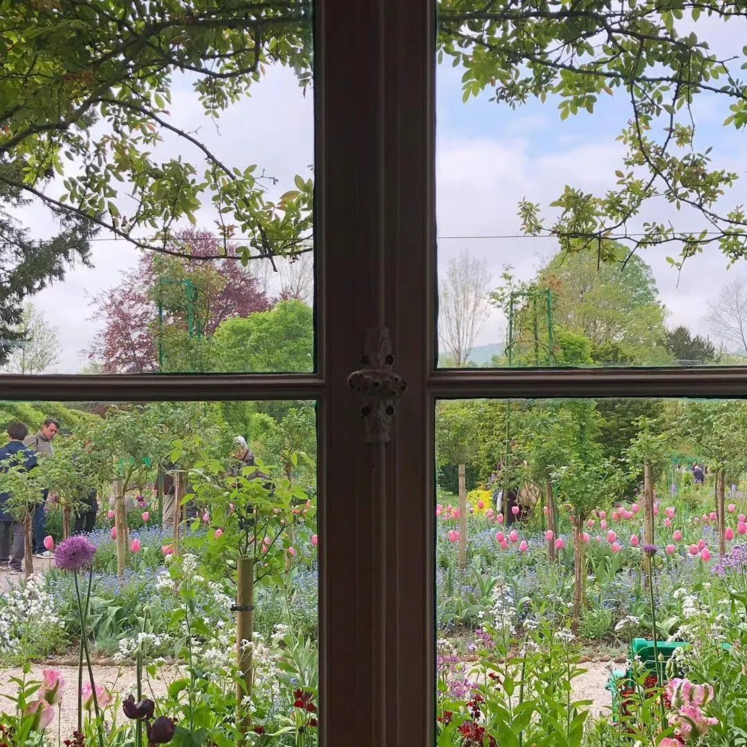 春日氛围感头像带背景图,春日已至头像图片